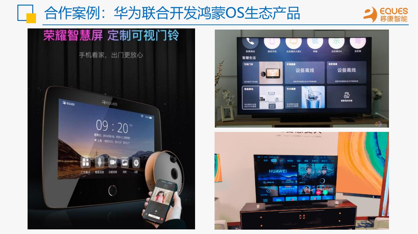 1733798560491948.jpg 2.jpg